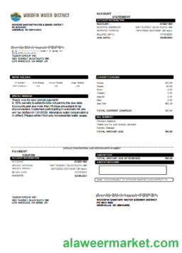 Woodfin Sanitary Water & Sewer District utility business bill, SCR